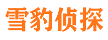 日喀则市婚姻调查